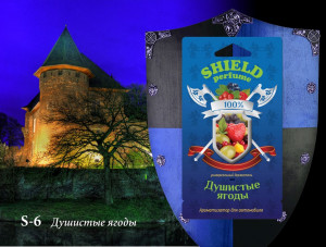 Ароматизатор гелевый подвесной "Shield perfume" S -06 - душистые ягоды фото в интернет-магазине АвтоОлимп